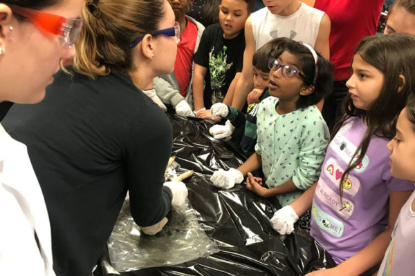 1-27-18-science-in-the-city-dissections-workshop-at-miami-lakes-library-3 Exploring Parallels Between Animal and Human Anatomy STEM Workshop at Miami Lakes Library